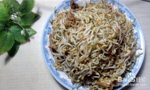 Mastering the Art of Chicken Thigh Stir-Fry with Bean Sprouts