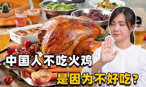 Mastering the Art of Cooking a Delicious Turkey