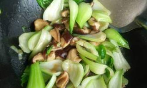 Mastering the Art of Making Flower Mushroom and Rapini Bok Choy)