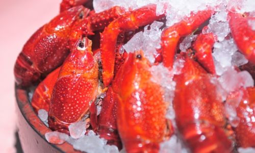Mastering the Art of Preparing Chilled Lobster with Hua Diao Wine