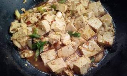 Mastering the Art of Making Braised Tofu Hong Shao Dou Fu)