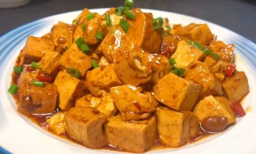 Mastering the Art of Making Braised Tofu Hong Shao Dou Fu)