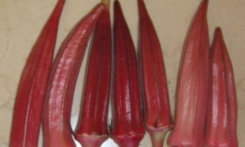 How to Prepare and Cook Red Okra:A Culinary Guide