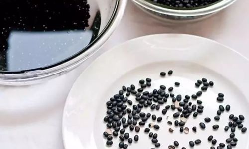 How to Make Delicious and Nutritious Black Bean Milk