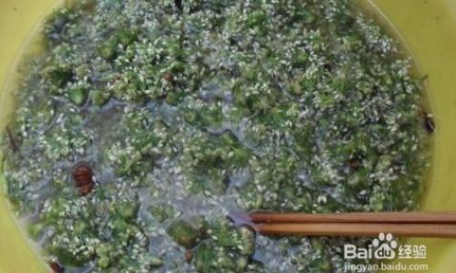 Crafting the Perfect Salted Chive Flowers:A Culinary Journey