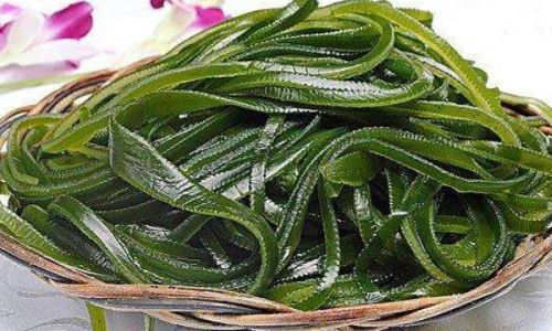 How Long Should You Soak Salted Kelp Before Eating?