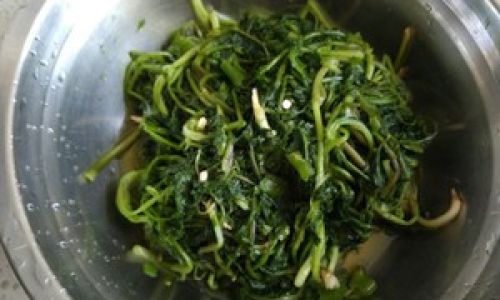 Mastering the Art of Making Delicious Coriander Dishes