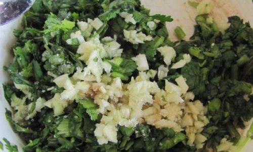 Mastering the Art of Making Delicious Coriander Dishes