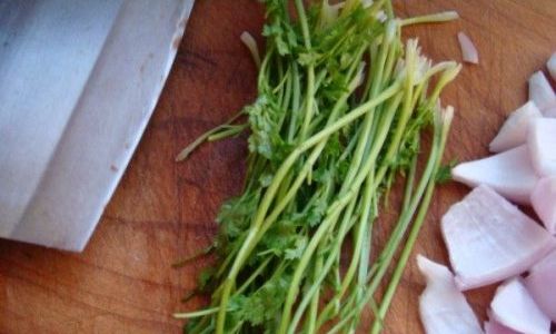Mastering the Art of Making Delicious Coriander Dishes