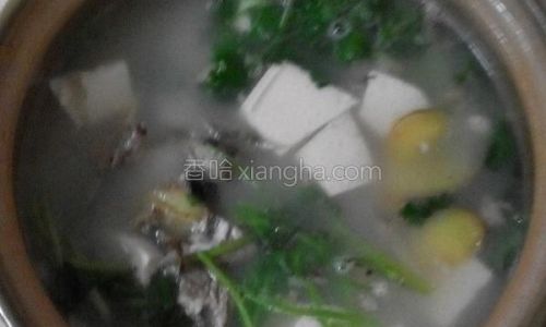 Mastering the Art of Making Coriander Tofu Soup