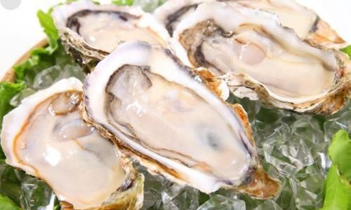 How Long Can Preserved Oysters Be Stored?