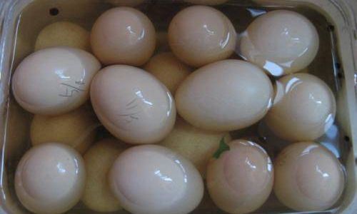 Mastering the Art of Delicious Pickled Raw Eggs
