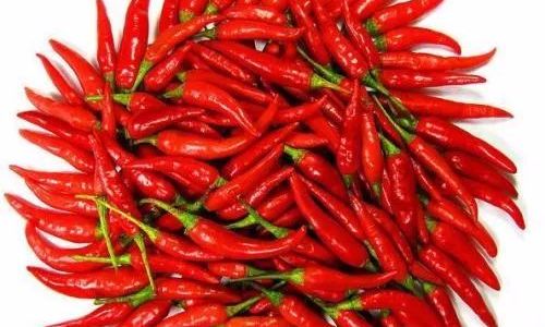 The Art of Sun-Drying Pickled Peppers:How Long Until Theyre Ready to Eat?