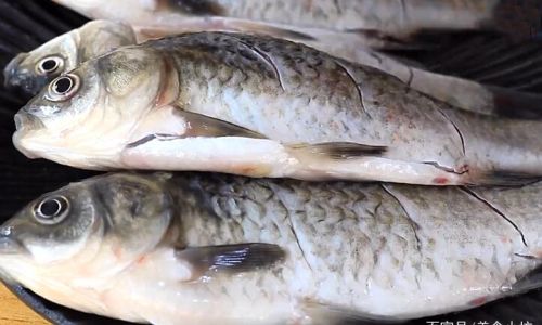 The Dilemma of Washing:Should You Rinse Your Preserved Fish?