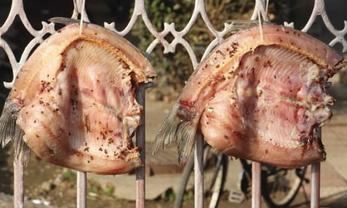 The Dilemma of Washing:Should You Rinse Your Preserved Fish?
