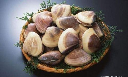 How Long Can Preserved Clams Retain Their Freshness?