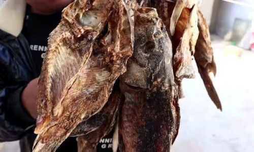 The Art of Fermenting and Drying Fish:How Long Does It Take to Enjoy Your Homemade Preserved Fish?