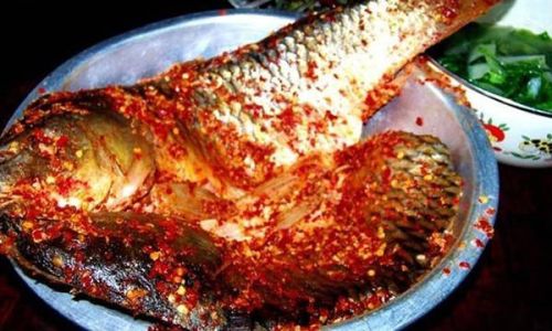 Can You Microwave Preserved Fish?A Comprehensive Guide