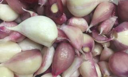 Can You Add Soy Sauce to Pickled Sweet and Sour Garlic?An In-Depth Exploration