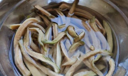 The Art of Sun-Drying Pickled Sour Radish Strips:How Long Until Theyre Ready to Eat?