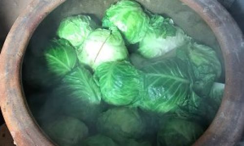 Mastering the Art of Making Delicious Pickled Mustard Greens