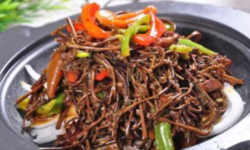 Enjoying the Deliciousness of Pickled Brake Fern:A Culinary Guide