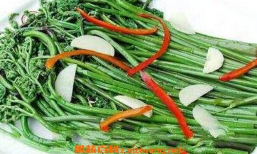 Enjoying the Deliciousness of Pickled Brake Fern:A Culinary Guide