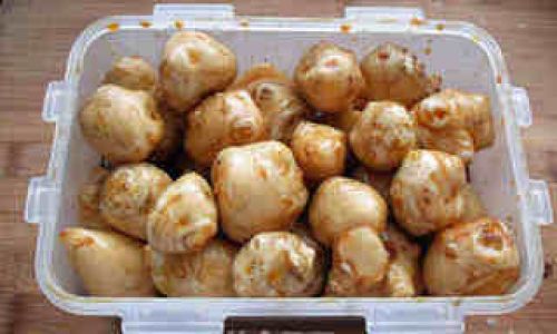 How to Make Pickled Jerusalem Artichoke a Detailed Guide)