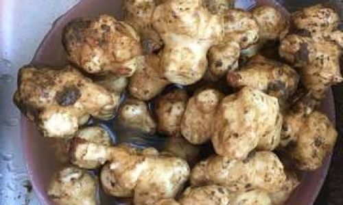 How to Make Pickled Jerusalem Artichoke a Detailed Guide)