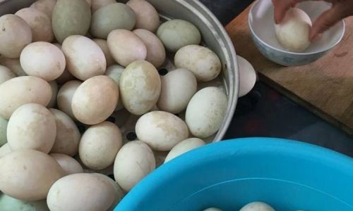 The Art of Sun-Drying Preserved Duck Eggs:How Long Until Perfection?
