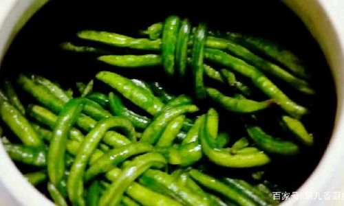 Understanding the White Layer on Pickled Sour Green Beans and How to Achieve It