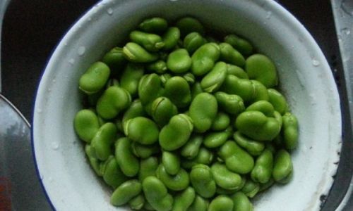 Mastering the Art of Making Delicious Pickled Broad Beans