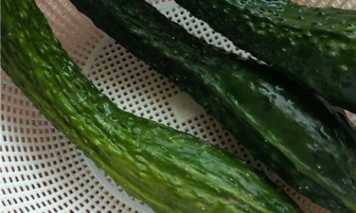 Mastering the Art of Crafting Delicious Smoked Cucumbers