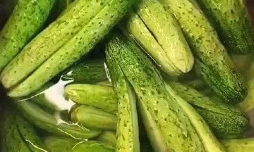 Mastering the Art of Crafting Delicious Smoked Cucumbers