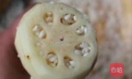 A Culinary Journey:Crafting the Perfect Glutinous Sweet Lotus Root with Rouge Sauce