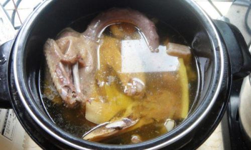 Mastering the Art of Crafting a Delicious Duck Soup:A Comprehensive Guide