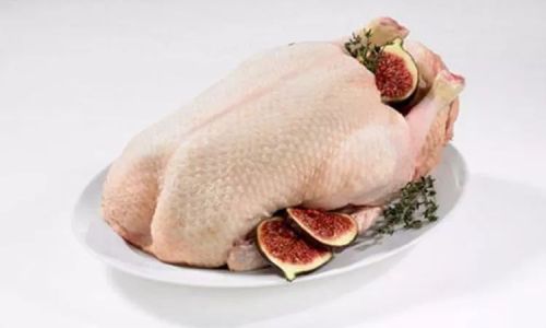 The Optimal Cooking Time for Duck Esophagus:A Culinary Exploration