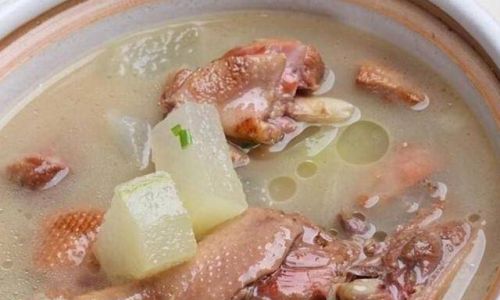 Exploring the Culinary Delights:Duck Meat and Its Perfect Soup Companions
