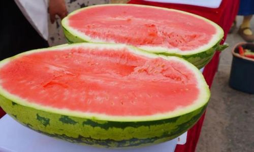 Exploring the Texture of Press-Sanded Melon:Crisp or Sandy?