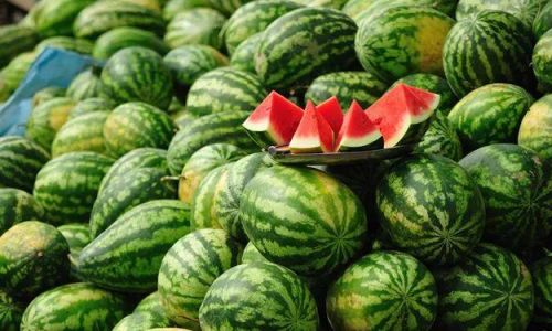 Exploring the Texture of Press-Sanded Melon:Crisp or Sandy?