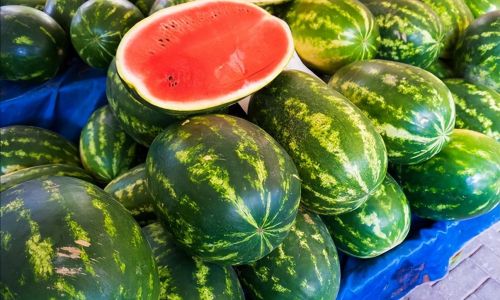 Exploring the Texture of Press-Sanded Melon:Crisp or Sandy?
