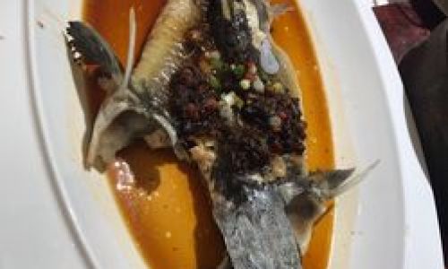 Exploring the Culinary Delights of Sturgeon:A Taste of Luxury