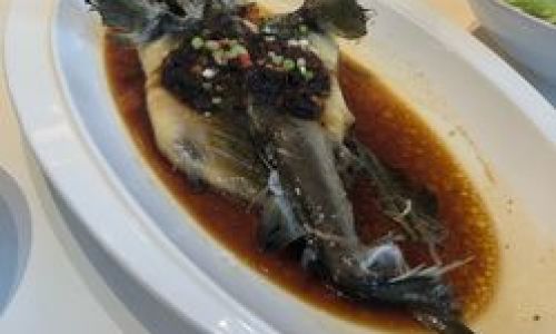 Exploring the Culinary Delights of Sturgeon:A Taste of Luxury