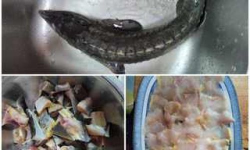 How to Prepare and Cook Sturgeon:A Culinary Guide