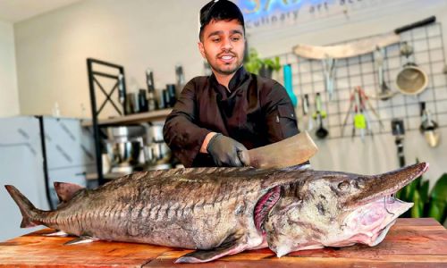 How to Prepare and Cook Sturgeon:A Culinary Guide