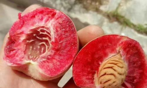 The Optimal Number of Blood Peaches to Consume in a Day