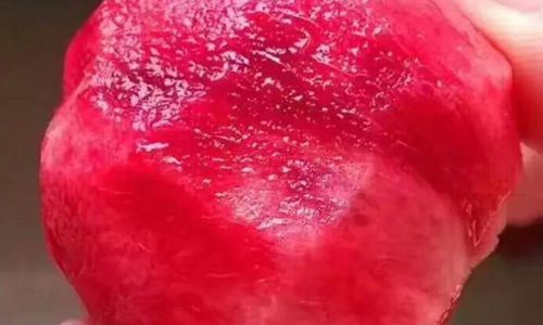 Unraveling the Mystery of Blood Peaches:Are They White-Fleshed When Unripe?