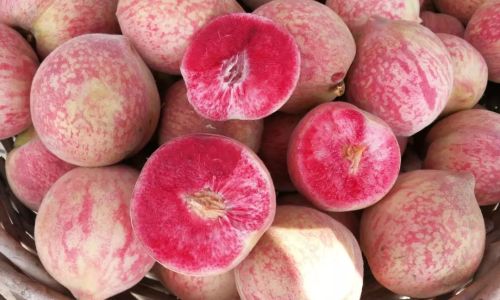 Unraveling the Mystery of Blood Peaches:Are They White-Fleshed When Unripe?
