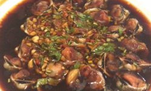 Delightful Recipes for Preparing Tasty Blood Clams Arca subcrenata)