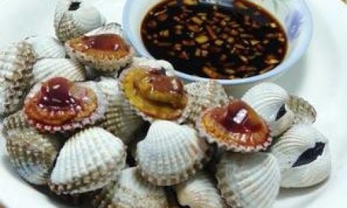 Delightful Recipes for Preparing Tasty Blood Clams Arca subcrenata)
